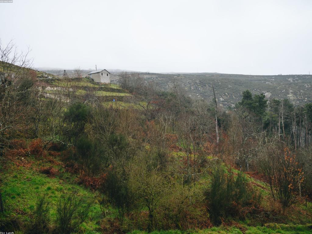 ការប្រារព្ធពិធី: ចំណុចសំខាន់នៃការចូលរួមជាមួយសង្គម