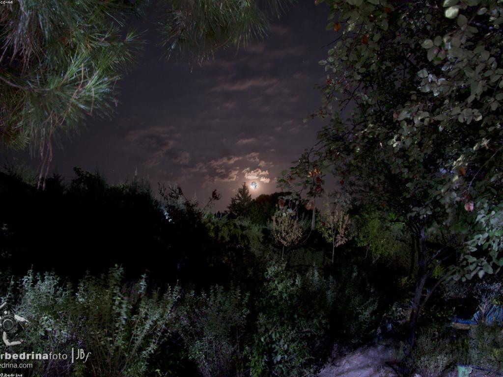 យុទ្ធសាស្ត្រលេង: ការបង្កើតកីឡាពីការប្រកួតដើម្បីភាពជោគជ័យ